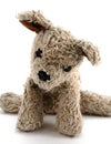 Old Stuffed Dog Royalty Free Stock Photo