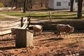 OLD STURBRIDGE VILLAGE