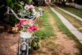 Old style bicycle with beautiful flower in basket Royalty Free Stock Photo