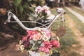 Old style bicycle with beautiful flower in basket Royalty Free Stock Photo