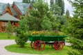 Old style cart with green bush for outdoor backyard decoration Royalty Free Stock Photo