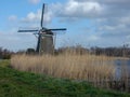 Windmill next to the Rotte Royalty Free Stock Photo
