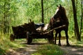 Old-style horse wagon Royalty Free Stock Photo