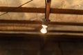 old style incandescent lamp shines with warm light