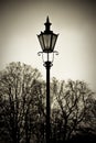 Old style lantern with trees in background Royalty Free Stock Photo