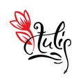 Old style lettering, Calligraphy. Word Tulip with hand drawn red vector tulip. Logo for spa salon or flower shop Royalty Free Stock Photo