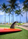 Old style single fin surfboard,waikiki