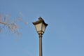 Old style street lamp on sky background Royalty Free Stock Photo