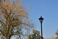 Old style street lamp on sky background Royalty Free Stock Photo