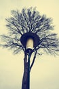 Old style street lantern Royalty Free Stock Photo