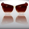 Old style sunglasses Royalty Free Stock Photo