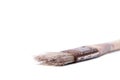 Old stylish worn out wooden vintage rusty paintbrush on white background