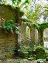 Old Sugar Mill Ruins Royalty Free Stock Photo