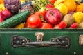 Suitcase full of fruit and vegetables Royalty Free Stock Photo