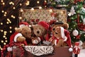 Old suitcase full of teddy bears in Santa caps Royalty Free Stock Photo