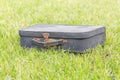 Old suitcase on grass Royalty Free Stock Photo