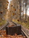 Old suitcase on the railway among the autumn leaves Royalty Free Stock Photo
