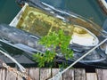 Old sunken boat. Patera shipwreck in the French West Indies. Boat broken down. Patera wreck. Old rubber boat on the pier. Broken Royalty Free Stock Photo