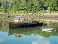 Old sunken lobster boat covered in moss at low tide Boothbay Harbor Maine