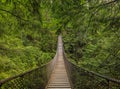 Old suspension bridge above a river, among pine trees on a mountain in Lynn Canyon Park forest in Vancouver, Canada