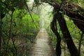 Old suspension bridge in rainforest Royalty Free Stock Photo