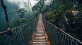 Old suspension wooden bridge in tropical forest, vintage wood footbridge and mist in jungle. Scene like in adventure movie.