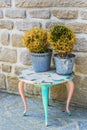 Old table with withered plants