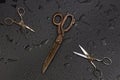 Old tailors scissors Royalty Free Stock Photo