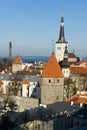 Old Tallinn Panorama Royalty Free Stock Photo