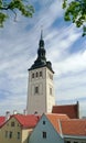 Old Tallinn in summer Royalty Free Stock Photo