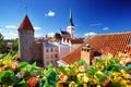 Old Tallinn in summer Royalty Free Stock Photo