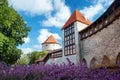 Old Tallinn in summer Royalty Free Stock Photo