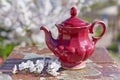 Old teapot on a wooden table. Royalty Free Stock Photo