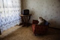 Old Teddy bear sitting on chair and watching TV Royalty Free Stock Photo