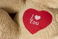 old teddy bear There was a message on the bear saying I love you. An old Valentine's Day gift that was left behind. Royalty Free Stock Photo