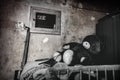 Old teddy bear toy sitting alone in a room of an abandoned house.