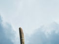 Old telegraph pole against a gloomy sky Royalty Free Stock Photo