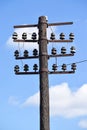 Old telephone pole Royalty Free Stock Photo