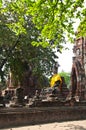 Old Temple of Ayutthaya, Thailand