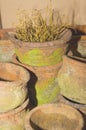 Old terracotta pots Royalty Free Stock Photo