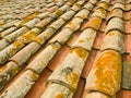 Old terracotta roof tiles Royalty Free Stock Photo