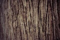 Old texture background background concept Royalty Free Stock Photo