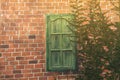 Old Texture brick wall, detailed pattern covered in ivy