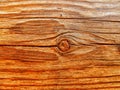 a piece of wood very cracked and with a knot in the center