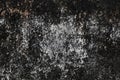 Old textured concrete wall in grayscale for backgrounds Royalty Free Stock Photo