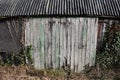 Old textured wood and bolt on an old shed Royalty Free Stock Photo