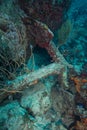 Scuba diving off the Dutch Caribbean island of Sint Maarten