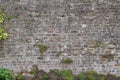 Attractive old 18th Century European brick wall background with vegetation