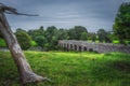 Old, 12th century stone arch Bective Bridge over Boyne River with large tree trunk Royalty Free Stock Photo