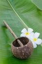 Old thai style coconutshell ladle